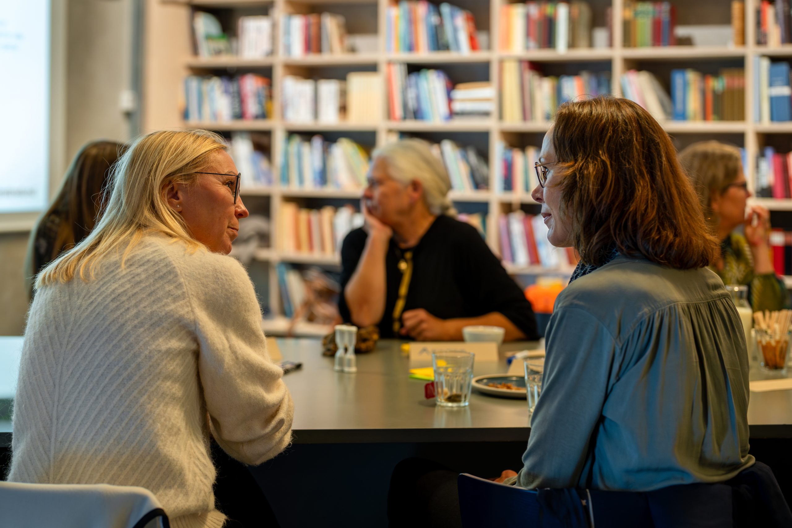 kirstinelund Netvaerk på tvaers 12 scaled